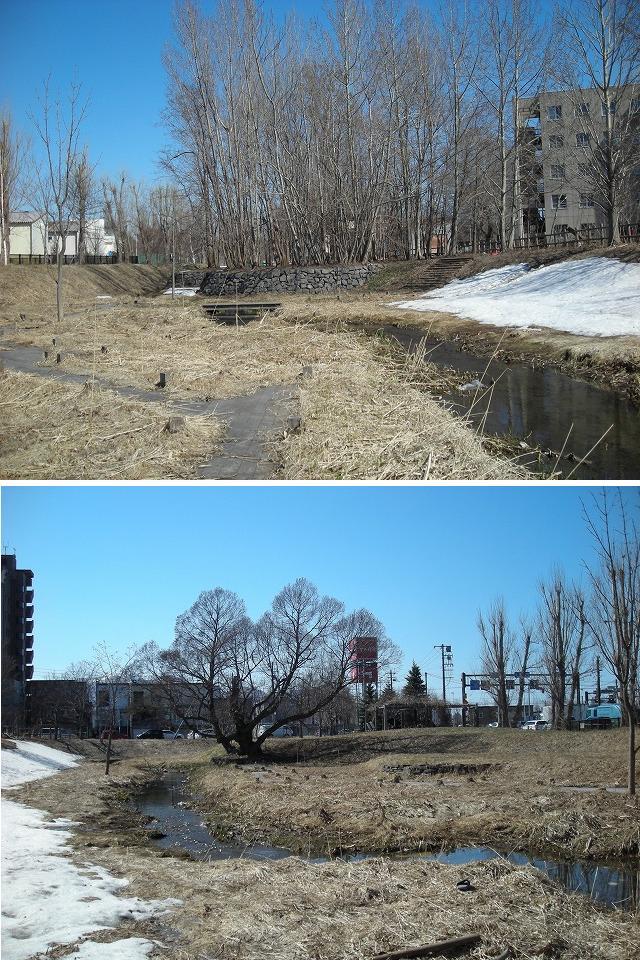 f0078286_15103194.jpg