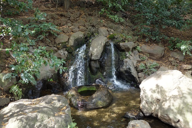 善福寺川01-善福寺池_d0183387_18292976.jpg