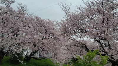 e0143298_23213743.jpg