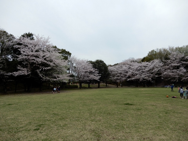 e0025300_150342.jpg