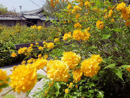 e0078900_07364916.jpg