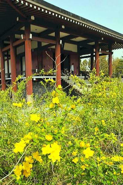 e0078900_07371072.jpg