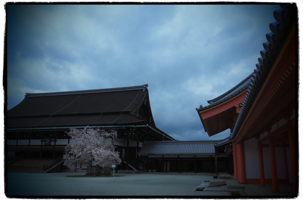 素敵な京都でした_c0186005_17561556.jpg