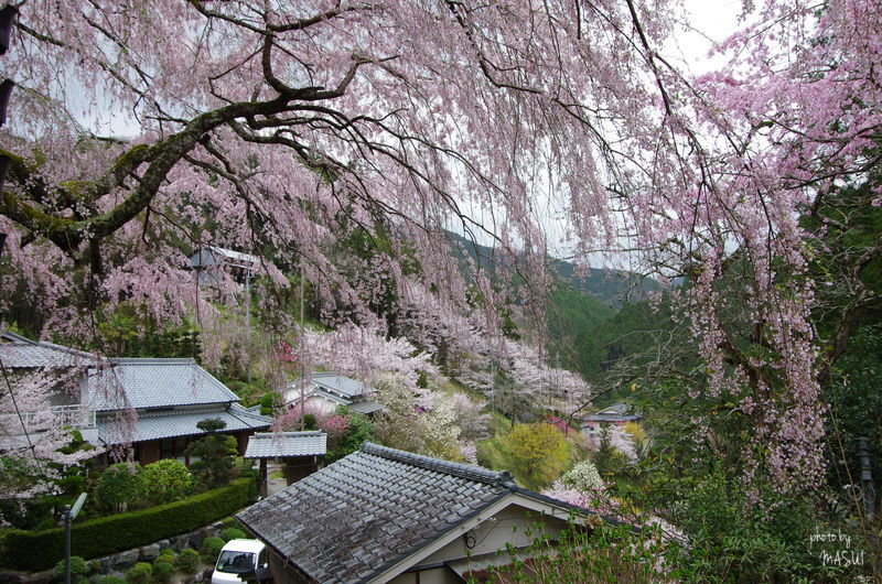 西吉野　「性龍寺」「貝原」「学校跡」_d0342307_22413885.jpg