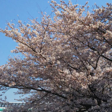 b0129008_16595865.jpg