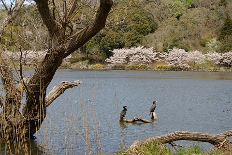 b0275715_225641100.jpg