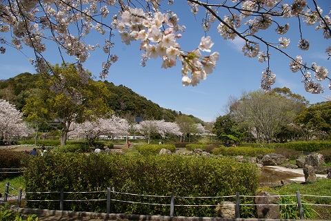 b0275715_22573157.jpg