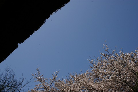 b0275715_231426100.jpg