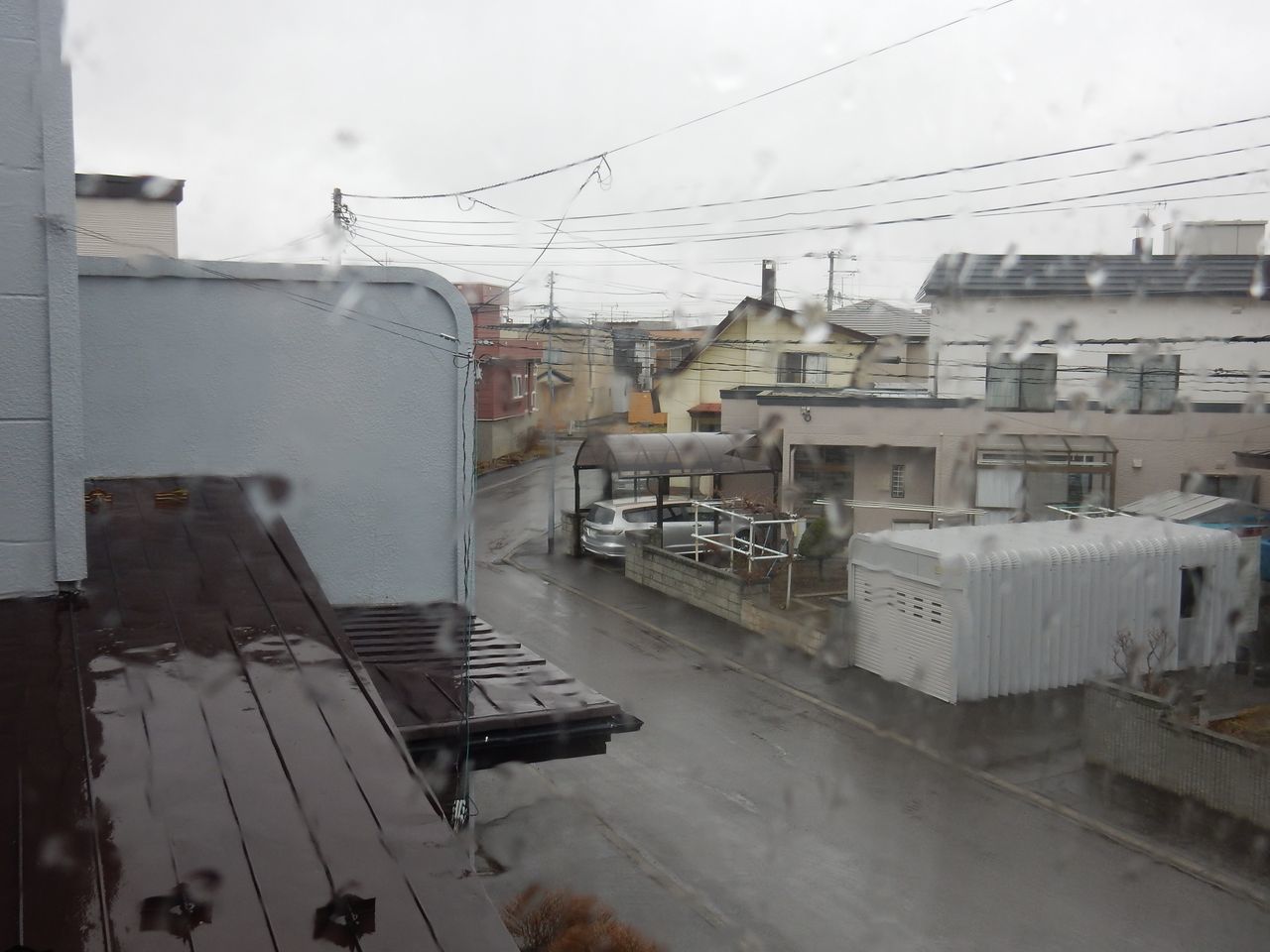 雨から雪へ　寒の戻り_c0025115_20321618.jpg