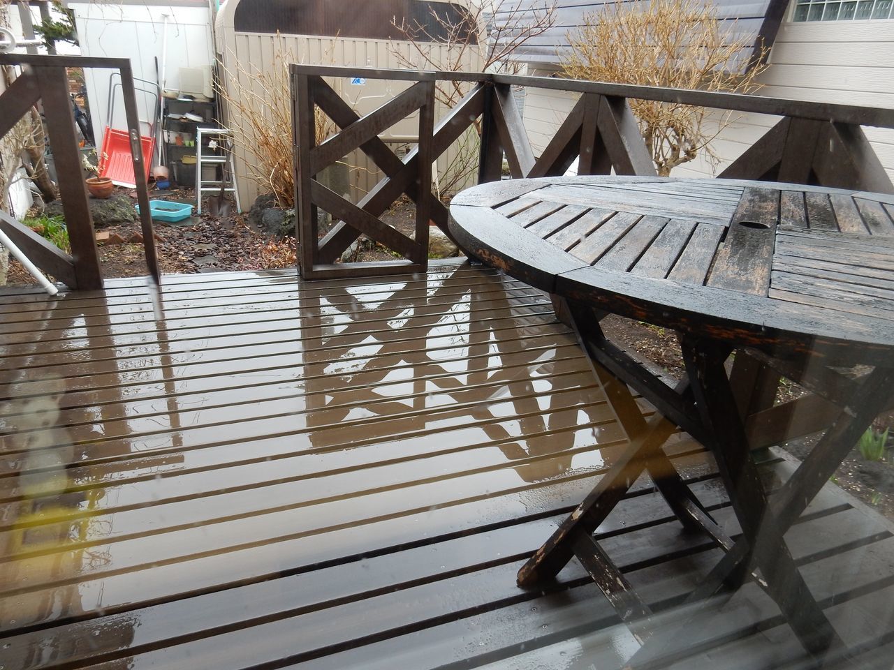 雨から雪へ　寒の戻り_c0025115_20322141.jpg