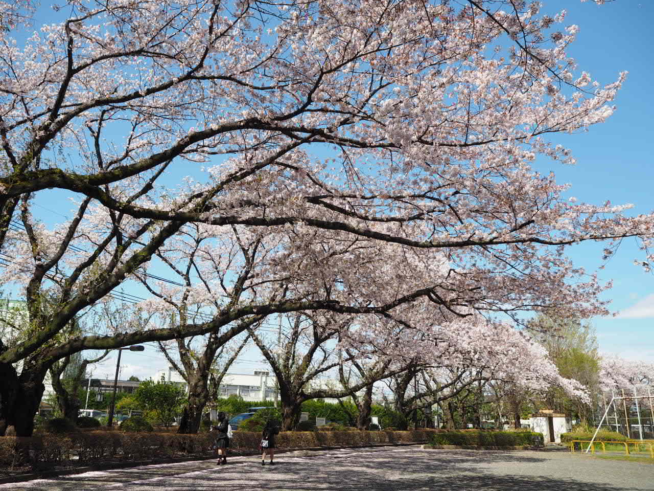 店から泉体育館駅_b0206421_17533367.jpg