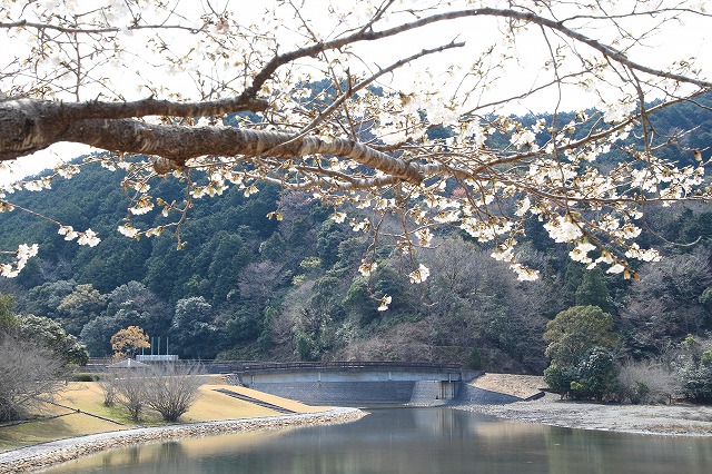 大白公園を散歩_e0321325_17214520.jpg