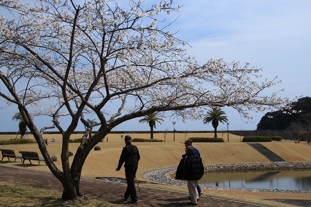 大白公園を散歩_e0321325_17215643.jpg