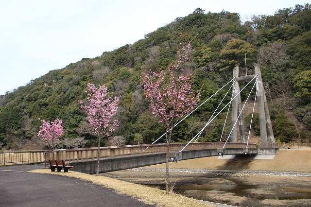 大白公園を散歩_e0321325_17264736.jpg