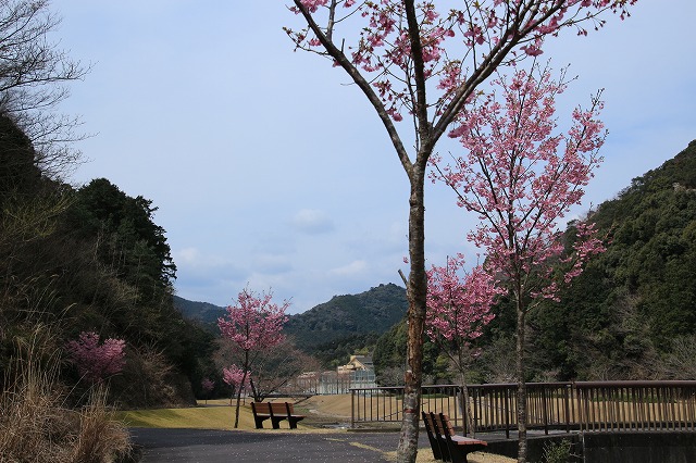 大白公園を散歩_e0321325_17275267.jpg