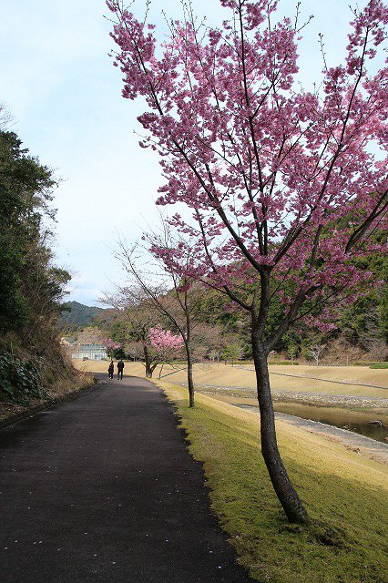 大白公園を散歩_e0321325_17303673.jpg