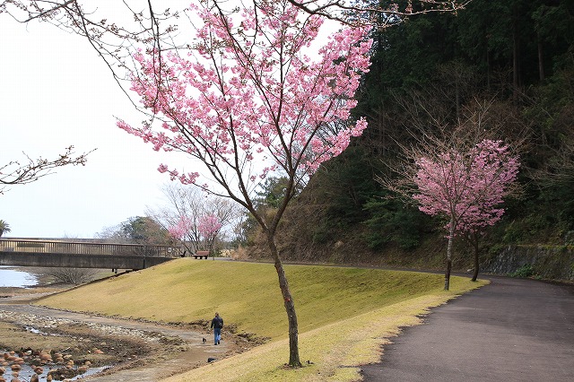 大白公園を散歩_e0321325_17323754.jpg