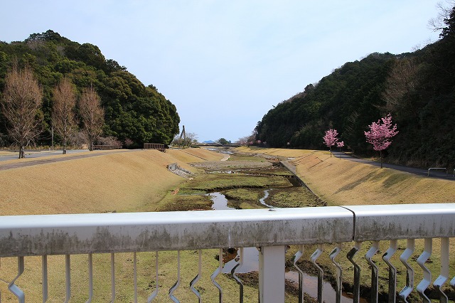 大白公園を散歩_e0321325_1736994.jpg