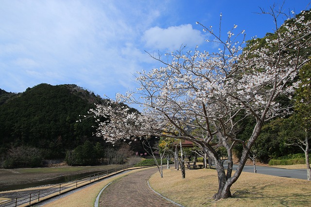 大白公園を散歩_e0321325_17382676.jpg