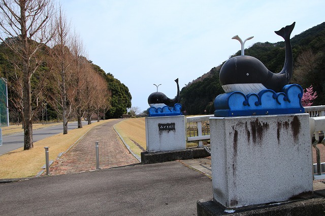 大白公園を散歩_e0321325_173868.jpg