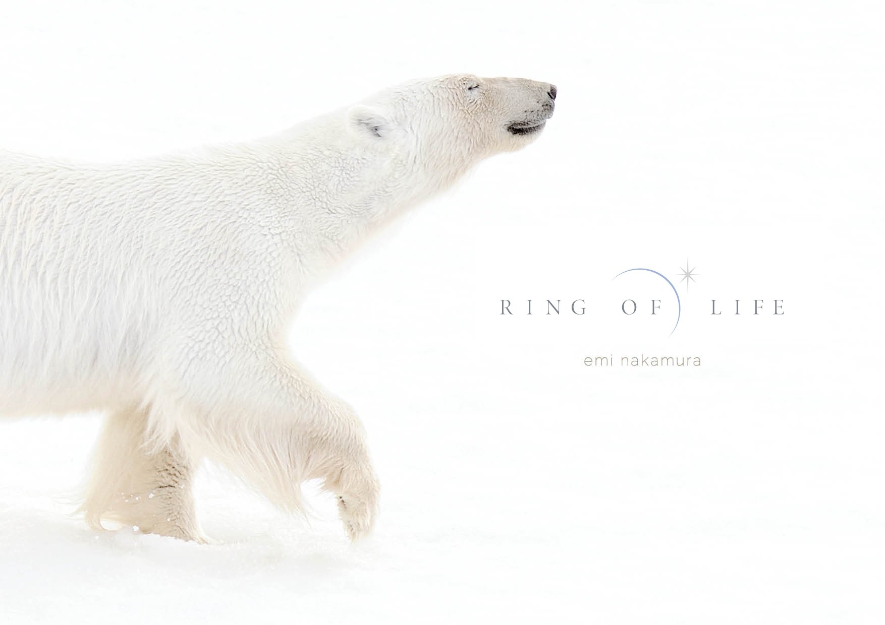 中村惠美 写真集『RING OF LIFE』_b0035326_1344957.jpg