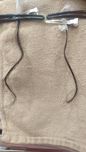 c0109726_17192384.jpg