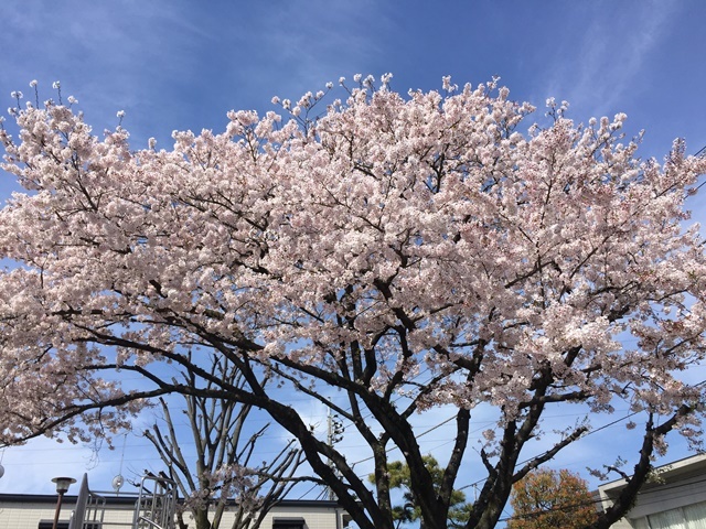 c0117831_17060902.jpg