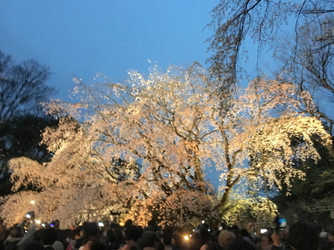 c0097838_18534240.jpg