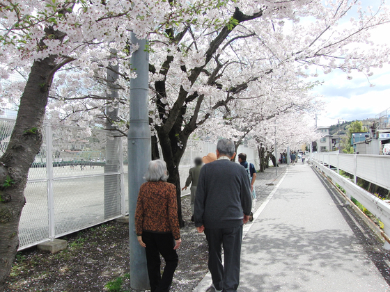 お花見　～ 春の歩行訓練週間 ～_e0222340_15355059.jpg