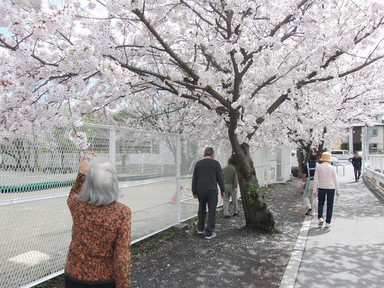 お花見　～ 春の歩行訓練週間 ～_e0222340_15422869.jpg