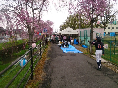 第８回　枝垂れ桜「花まつり」の写真（２）_f0226346_12341619.jpg