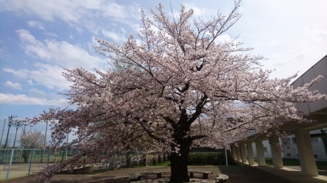 d0171548_22232471.jpg