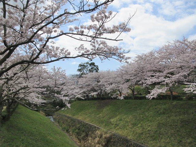 b0009849_2073010.jpg