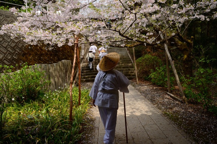 桜とお遍路さん_f0032753_18423428.jpg