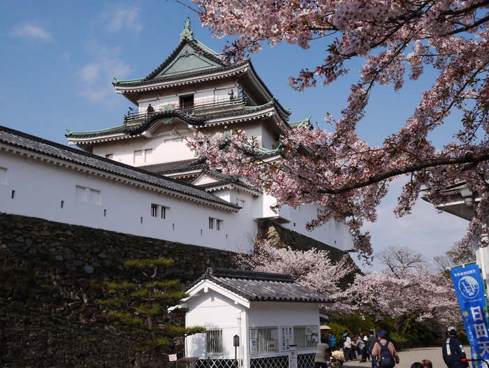　　お城と桜、そして天守閣へ登る_b0093754_17373686.jpg