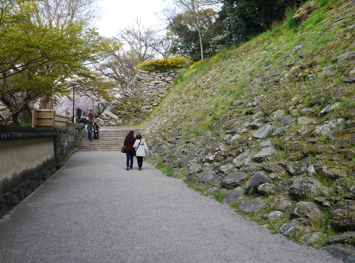 　　山吹咲く和歌山城・山吹渓_b0093754_2247548.jpg