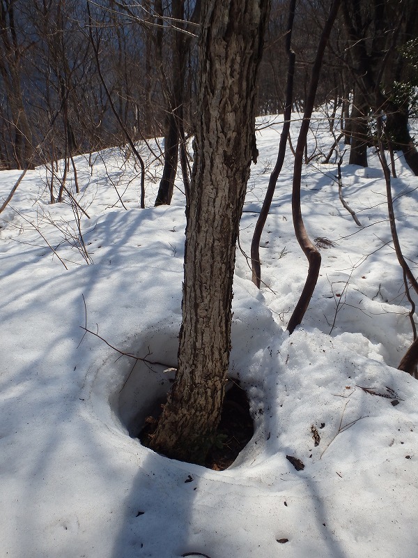 【湖北／余呉】心機一転、なごり雪の妙理山をぶらり周回_c0097754_15272385.jpg