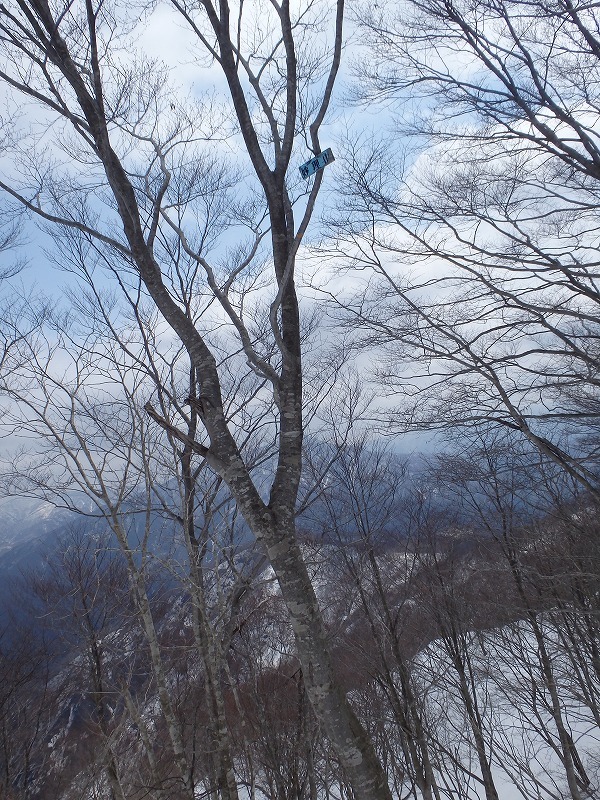 【湖北／余呉】心機一転、なごり雪の妙理山をぶらり周回_c0097754_15363829.jpg