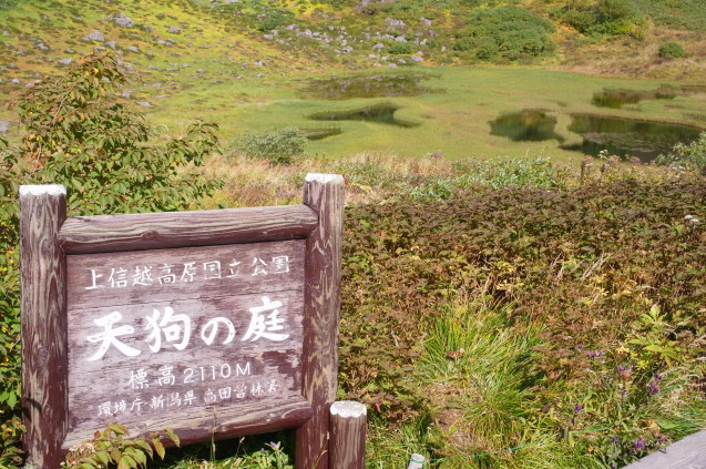 上信越登山の旅　18　（日本百名山 de photo 火打山） 　　_a0288155_23344456.jpg