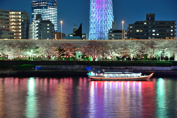 隅田公園の桜_b0283455_18563672.jpg