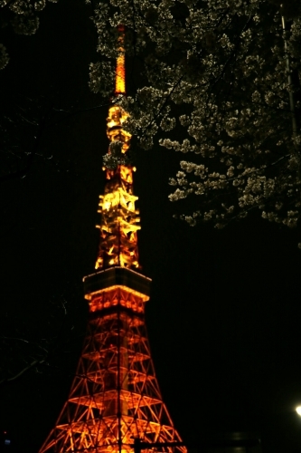 a0314368_00503052.jpg