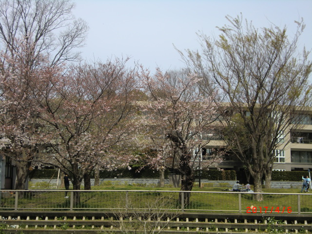 a0185783_1892722.jpg