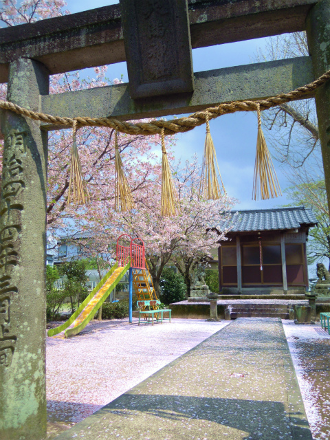 a0082884_20273144.jpg