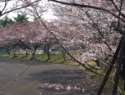 b0123486_06364034.jpg