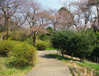 b0123486_07485406.jpg