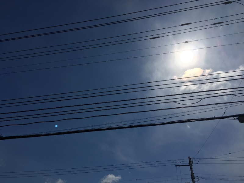 b0127002_17242542.jpg