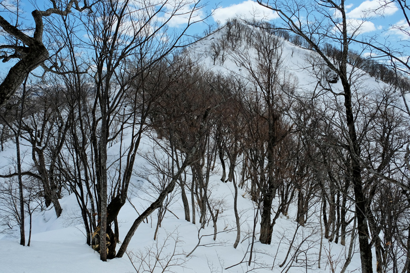 二つのピークを越えて　三ツ山（遠別町）  2017.4.1_f0200402_22342098.jpg