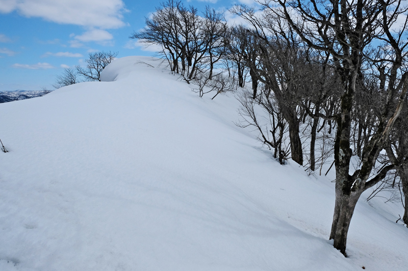 二つのピークを越えて　三ツ山（遠別町）  2017.4.1_f0200402_22380589.jpg