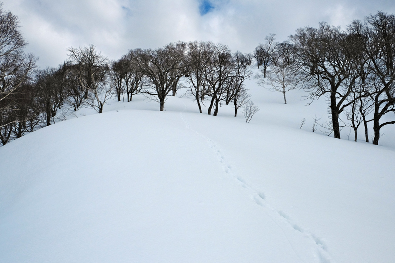 二つのピークを越えて　三ツ山（遠別町）  2017.4.1_f0200402_22593448.jpg