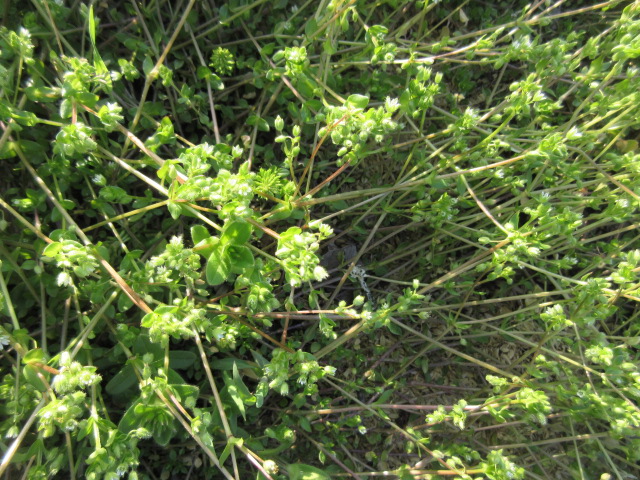 a0203003_1855985.jpg